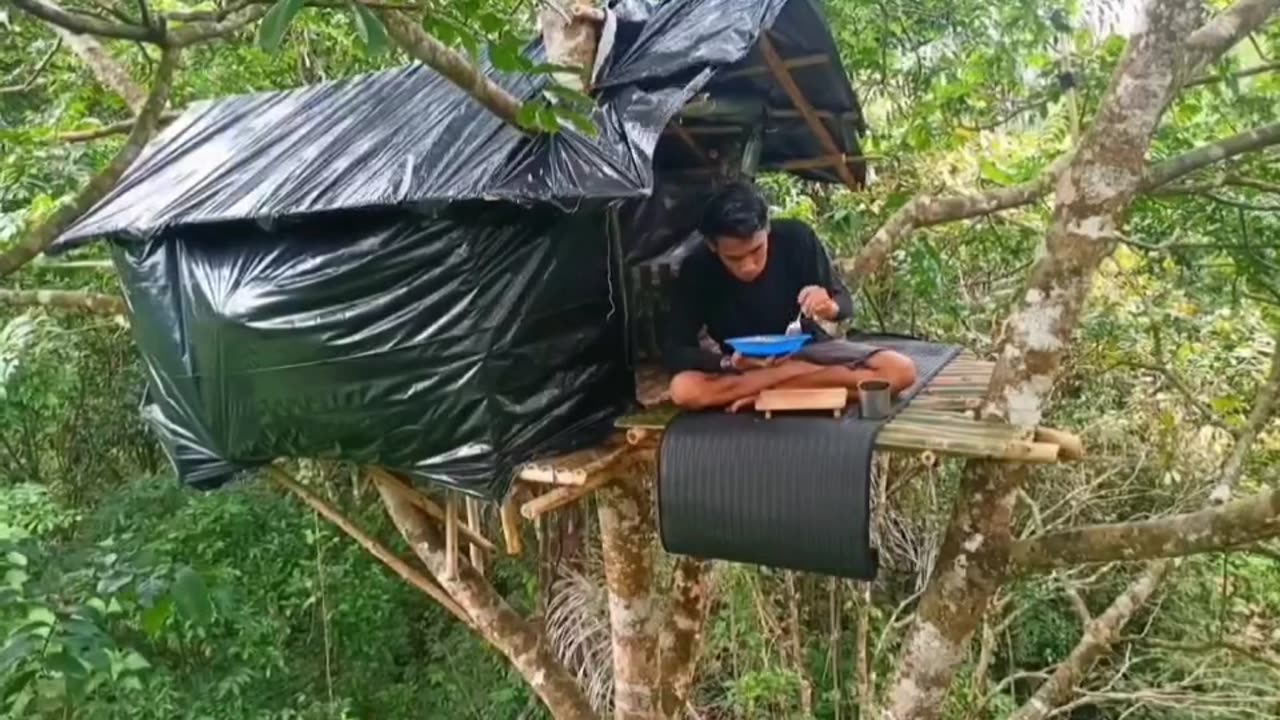 The guy went to the modified stable tree shelter camping