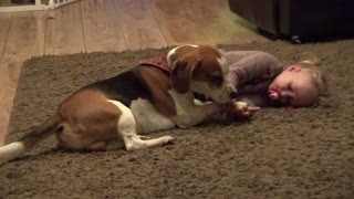 Dog preciously watches over little girl