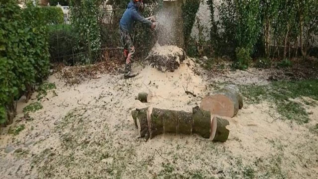 If you are looking for Tree Stump Removal in Broadford