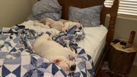 Hard night of partying