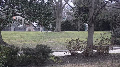0679USCG00SEDriveExit_2021-01-06_07h26min08s573ms.mp4