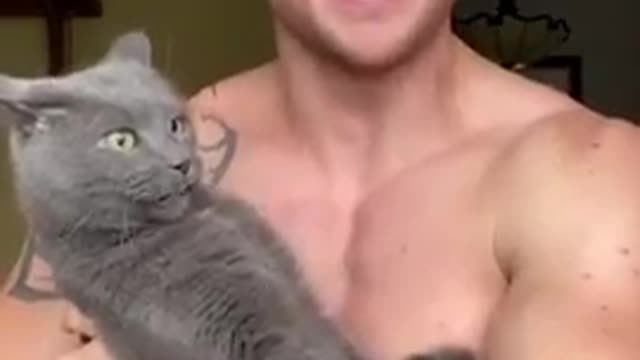 Cat Bites Man Face