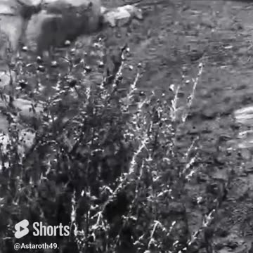 McDicken. Skyrim Survivalist? Day (6)? Nothing personal. #skyrim #survivalgame