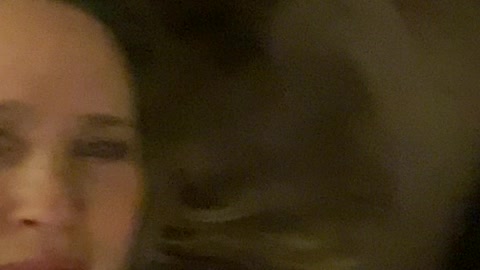 Quarantine 2020/2021