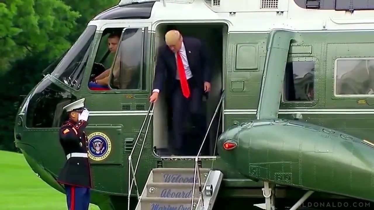 donald trump macho man