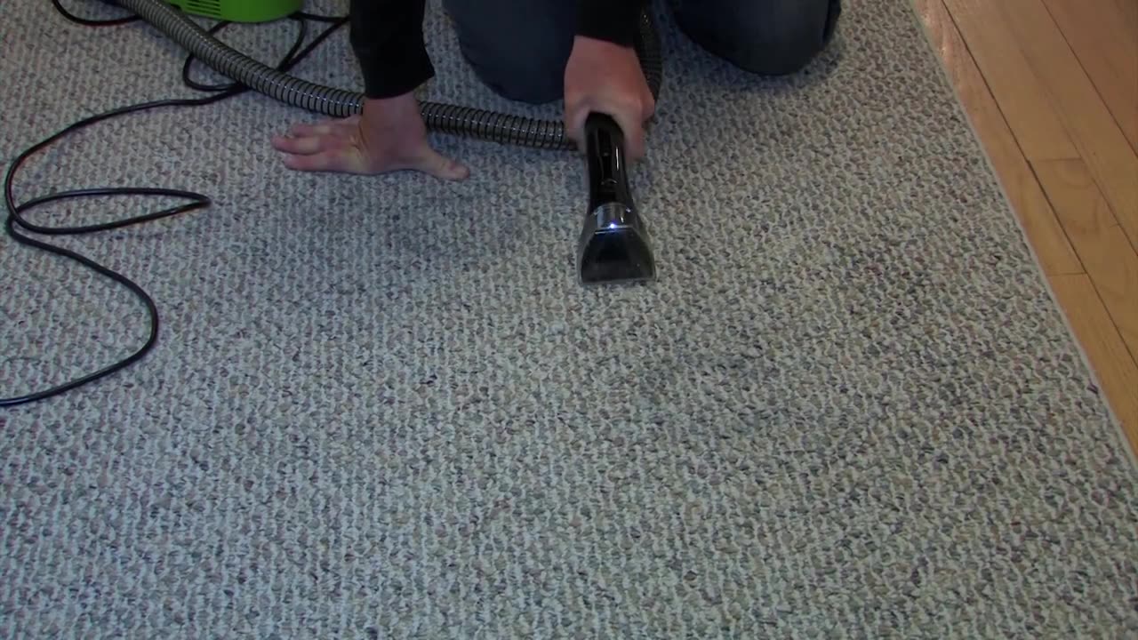 Bissell Little Green ProHeat® Pet Portable Carpet & Upholstery Cleaner - Todd's Testimonial