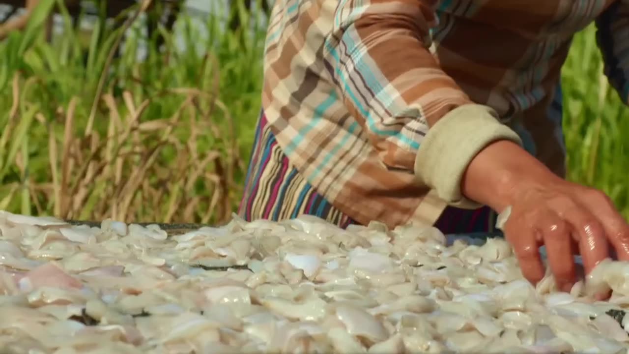 The Secret to Authentic Prahok - Fermentation, Maggots, and All!