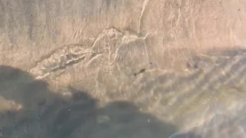 Walking on water