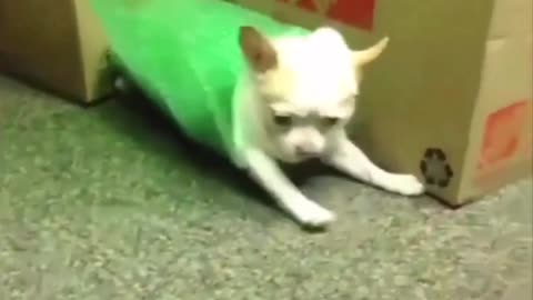 123 go