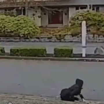 🚨🚔Criminals Get Instant Karma!!! #tiktok #funny #shorts #viral 🤣😭