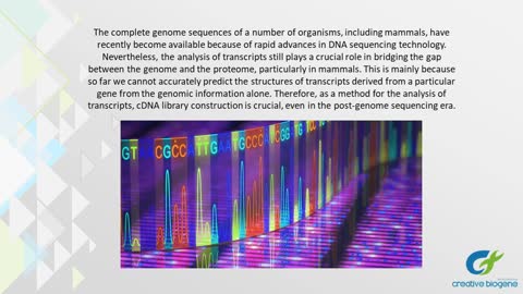 cDNA Library Construction