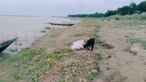 Village Life at The River