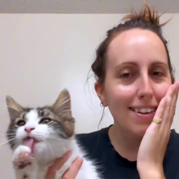 Funniest pets😁😁