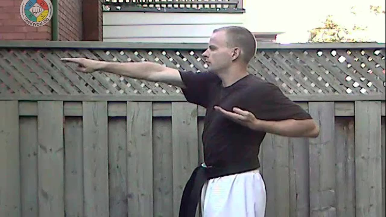 Taekwondo: Hapkido: Foundations: 2-Finger-strike-side-view