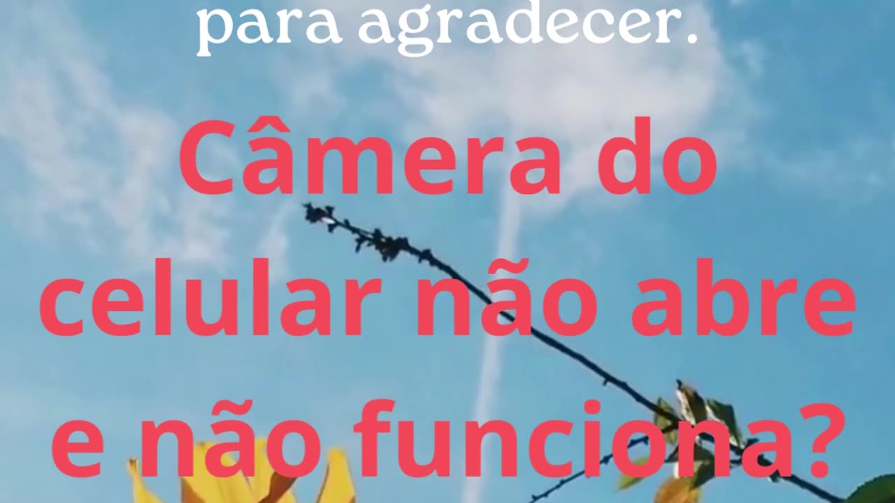 Câmera do celular não abre e não funciona Como resolver! (2).mp4