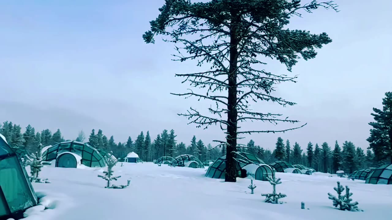 Flying to Lapland in Finland ❄️🇫🇮