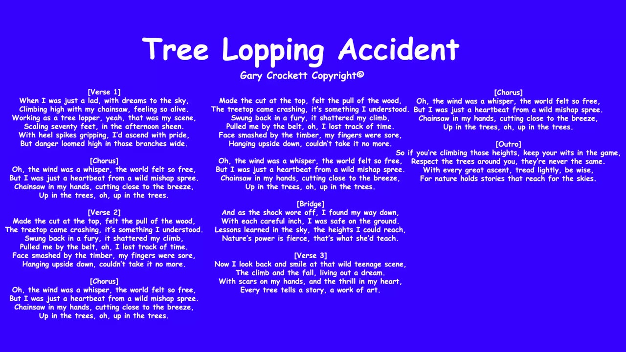 Tree Lopping Accident