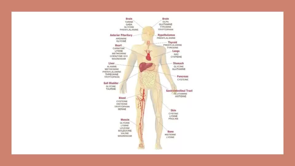 Herpes & Shingles Natural Treatment