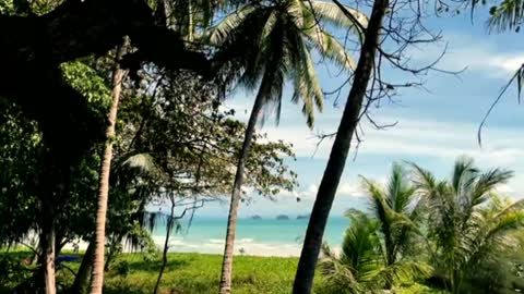 Relaxing Music | Sleeping, Meditation, Stress Relief | [1475] ⭐️