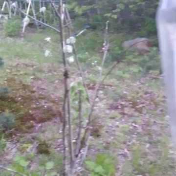 The results of first experiment