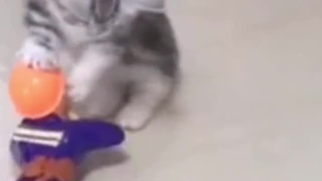 TOY VS CAT - UrPetsHouse