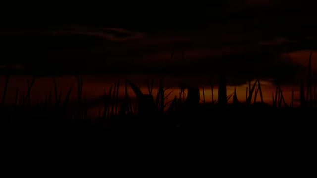Stress Relief by Nature Scenery & Relaxing Music