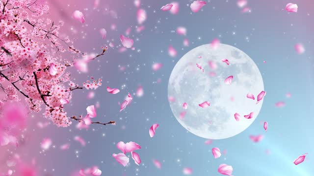 Chinese style beautiful romantic moon peach blossom dynamic background video
