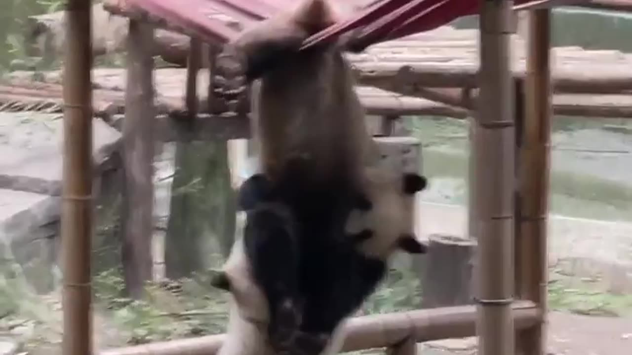 Best Friend