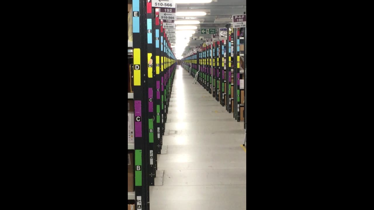 Amazon Real Life Labirynth