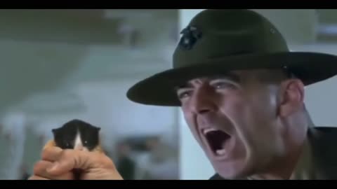 Warface Kitty