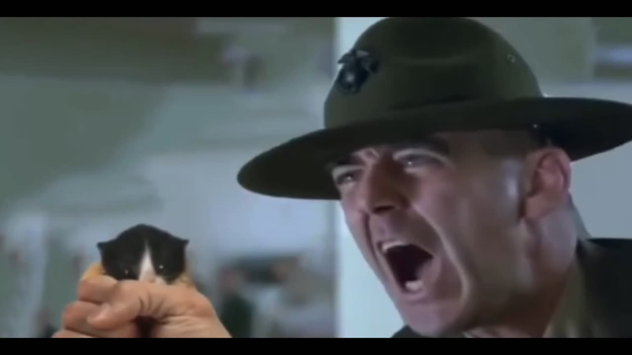 Warface Kitty