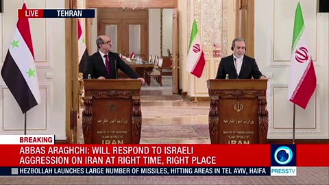 Iran, Syrian FM hold joint presser