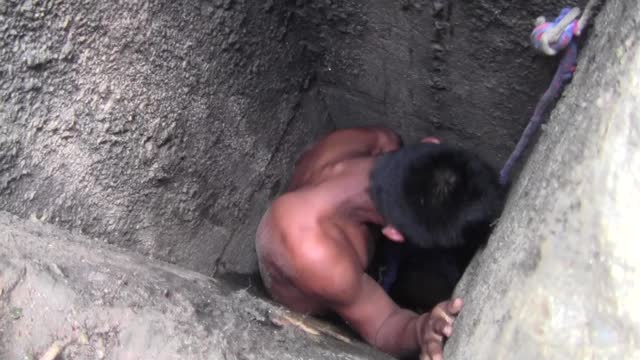 Young Man Rescues Dog That Fell Into Sewer