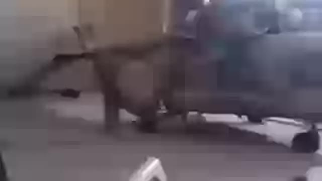 Taliban showing off their new toys