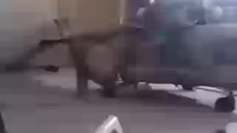 Taliban showing off their new toys