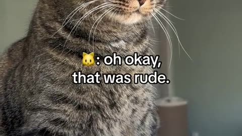 Doctor said I was a beast