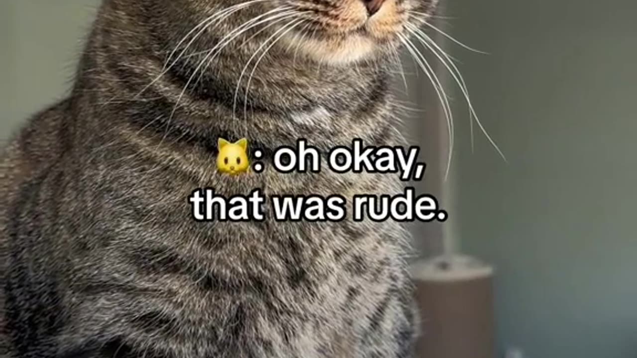 Doctor said I was a beast