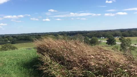 Cohokia Mounds