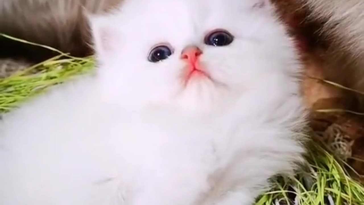 Cute 💕🥰💕