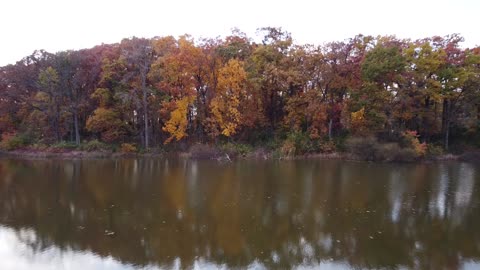 Neighborhood Pond with Fall Colors from a Drone