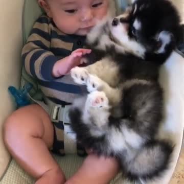 On National Puppy Day una being patient