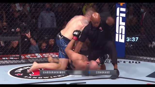 2022 UFC Best Knockouts