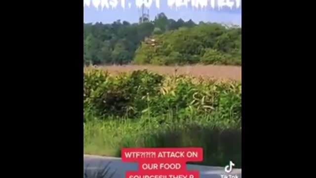 Spraying us and our food like bugs mang