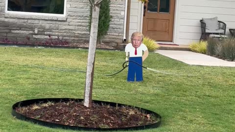 Novelty Trump Lawn Sprinkler