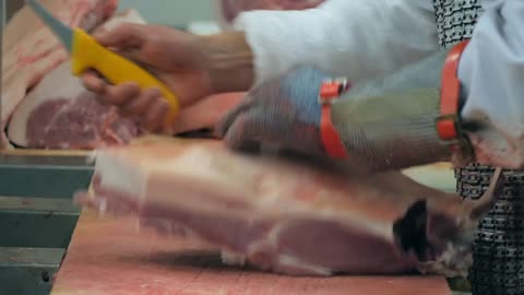 Inside a Pig Slaughter and Processing Facility | Free HD Video Footage 🐷🔪