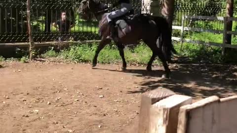 goddess on horseback