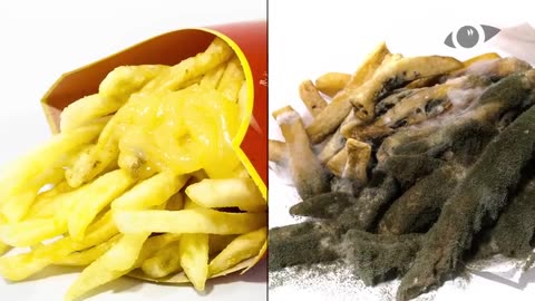 French Fries Timelapse Battle