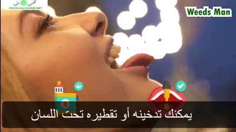 طرق استخراج صمغ الحشيش لصنع الفيب