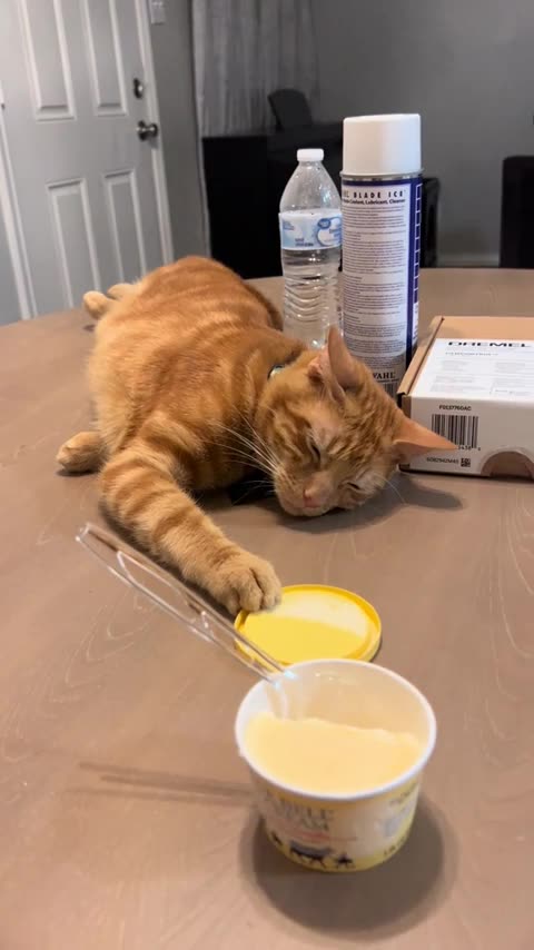 Just pretend to be asleep, and no one will suspect.