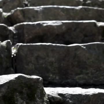 8 rules that make any diet work better